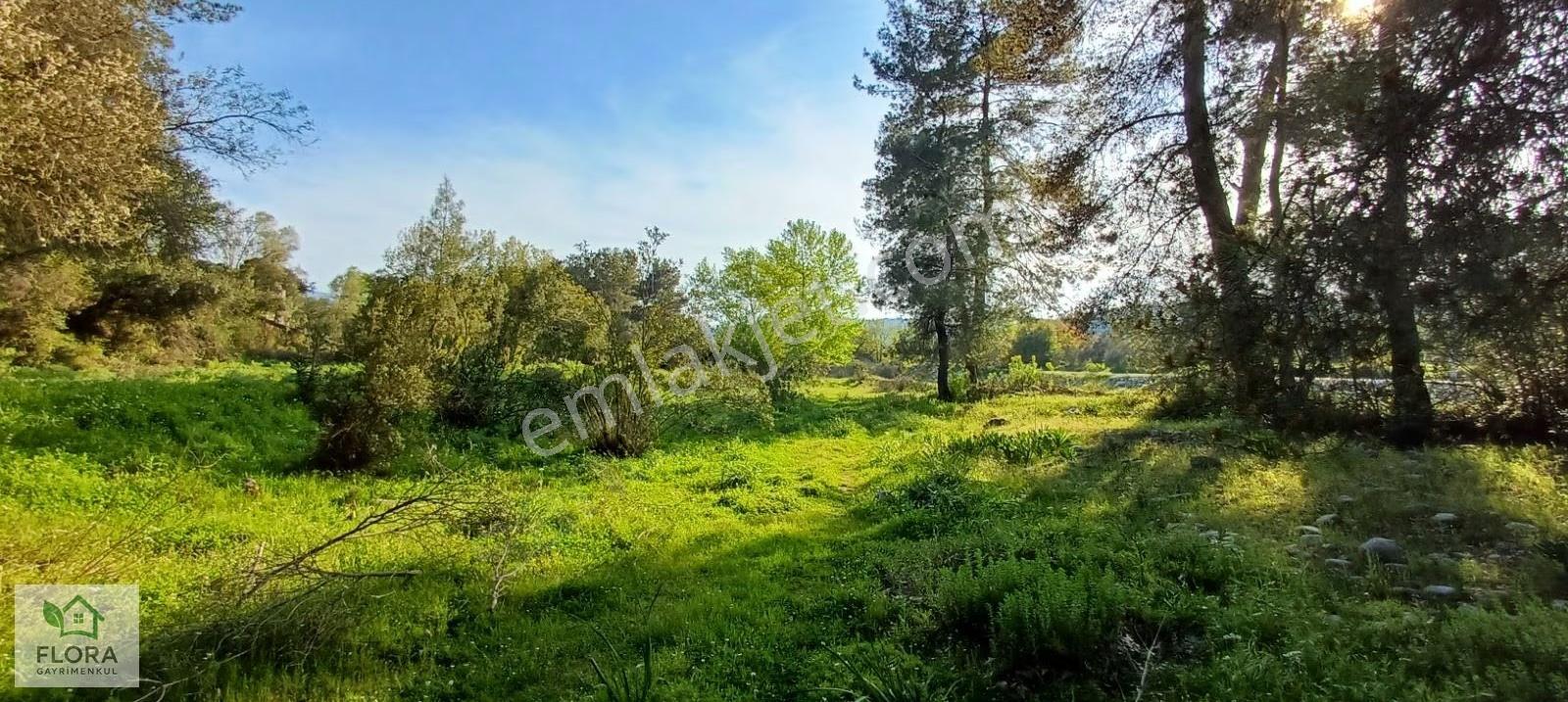 Karabörtlen'de Acil Satılık 7629 M2 Köyiçi Tarla - Görsel 13
