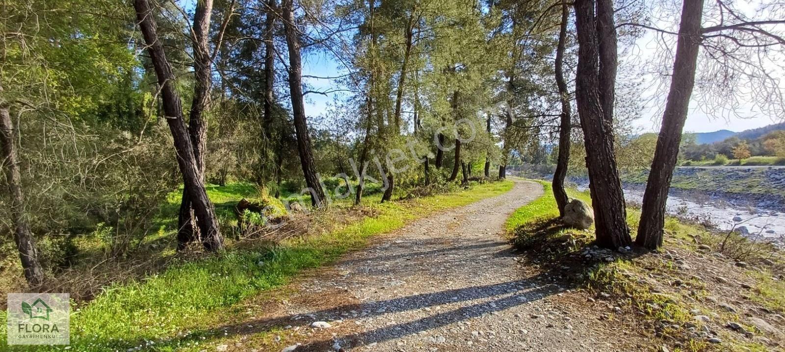 Karabörtlen'de Acil Satılık 7629 M2 Köyiçi Tarla - Görsel 8