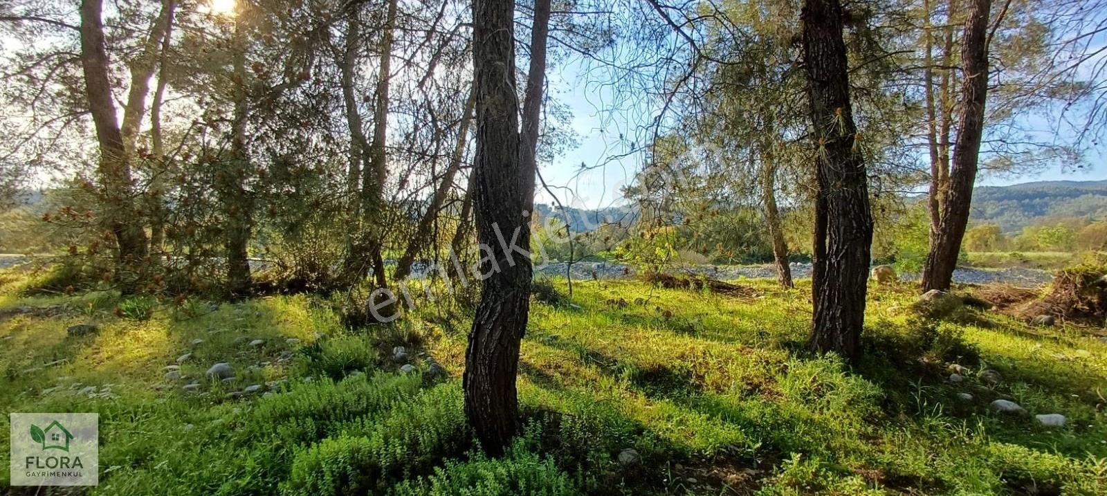 Karabörtlen'de Acil Satılık 7629 M2 Köyiçi Tarla - Görsel 14