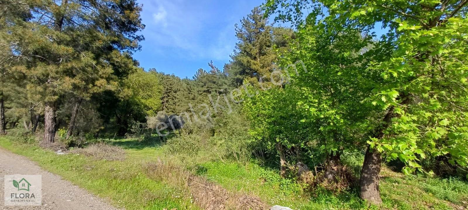 Karabörtlen'de Acil Satılık 7629 M2 Köyiçi Tarla - Görsel 2