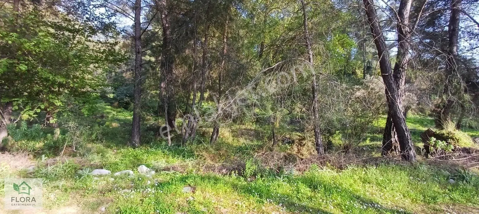 Karabörtlen'de Acil Satılık 7629 M2 Köyiçi Tarla - Görsel 5