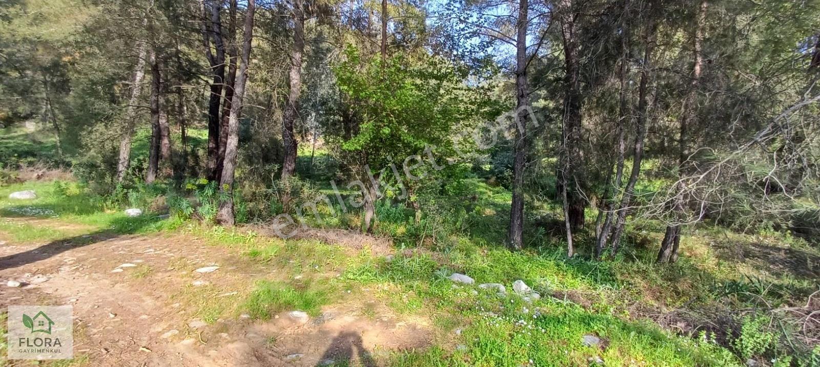 Karabörtlen'de Acil Satılık 7629 M2 Köyiçi Tarla - Görsel 6