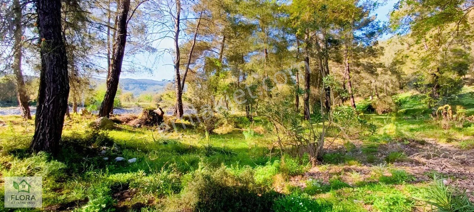 Karabörtlen'de Acil Satılık 7629 M2 Köyiçi Tarla - Görsel 15