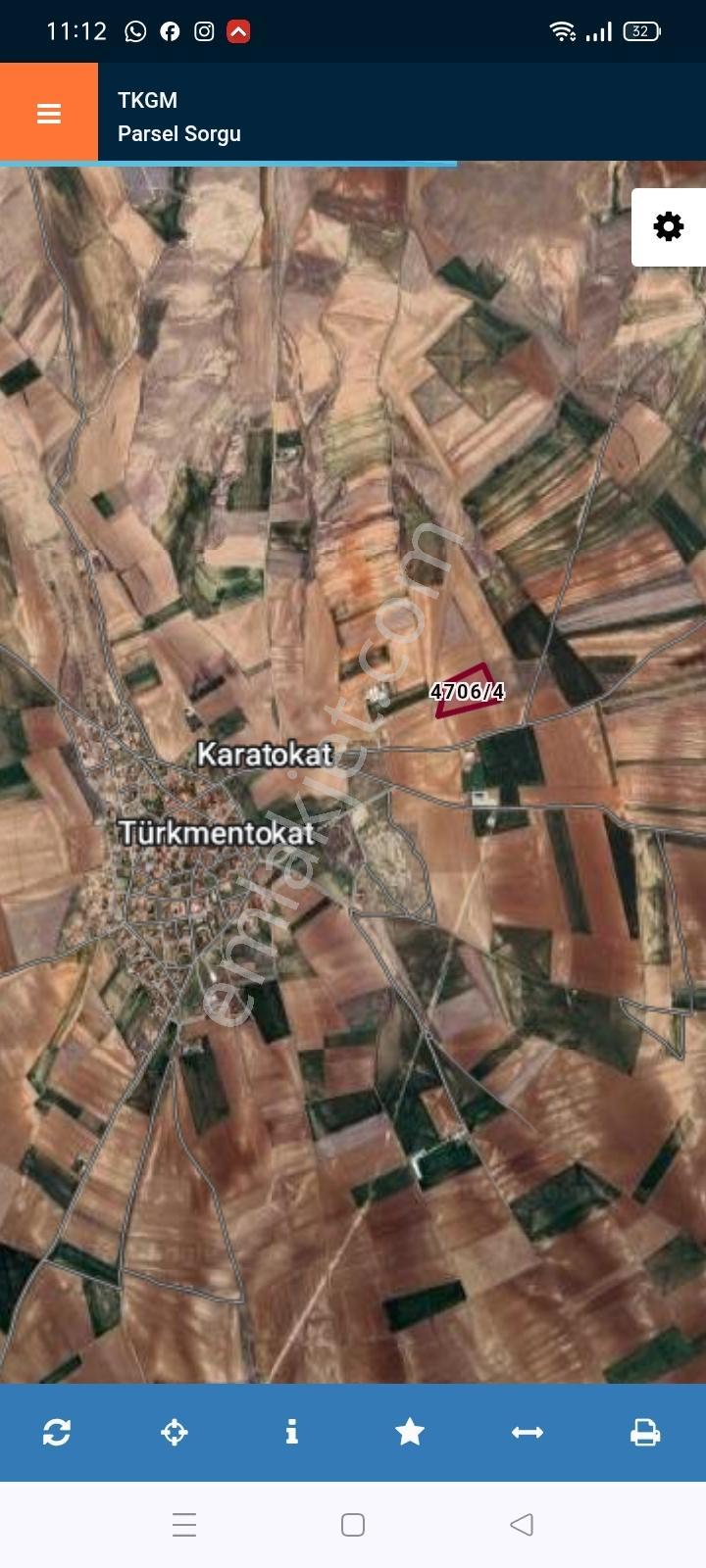 Eskişehir Türkmentokat 25 Dönüm Verimli Satılık Tarla - Görsel 5