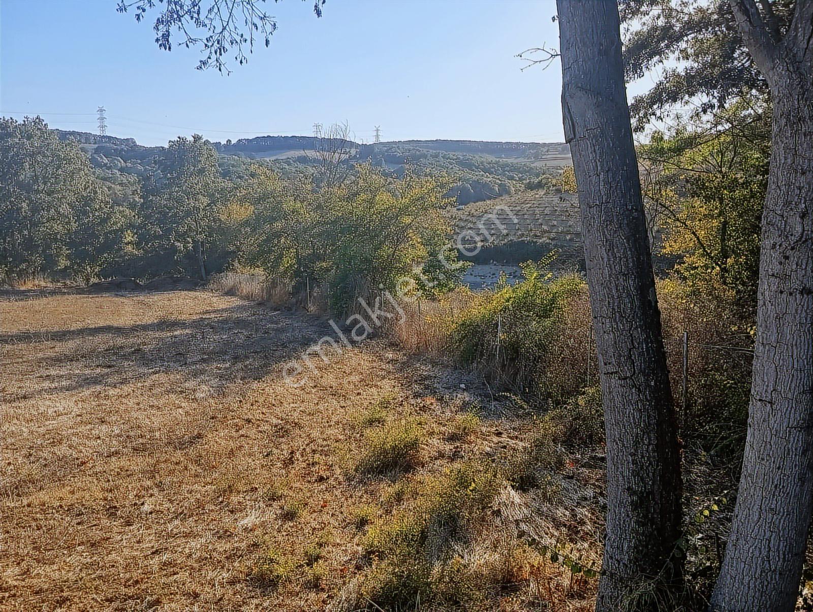 Remax Hür - Adapazarı Salmanlı'da Gölet Manzaralı Satılık Tarla - Görsel 17