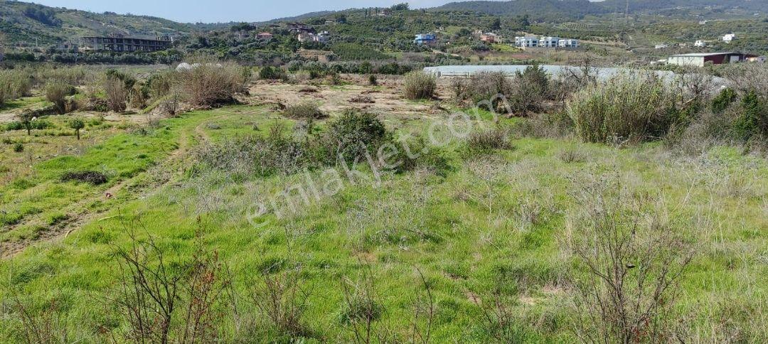 Fa Emlaktan Mezitli Bozönde 2500m2 Yatırımlık Satılık Tarla