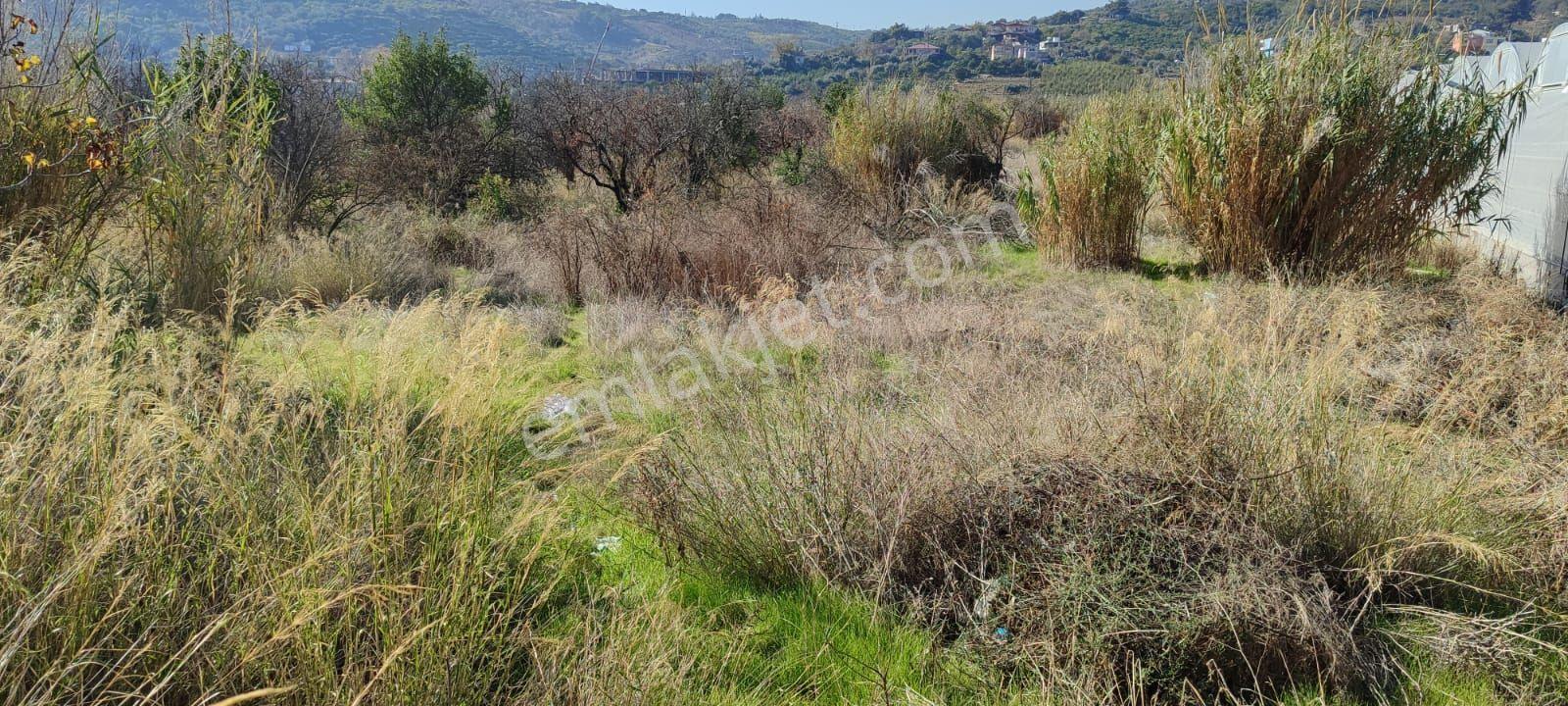 Fa Emlaktan Mezitli Bozönde 2500m2 Yatırımlık Satılık Tarla - Görsel 4