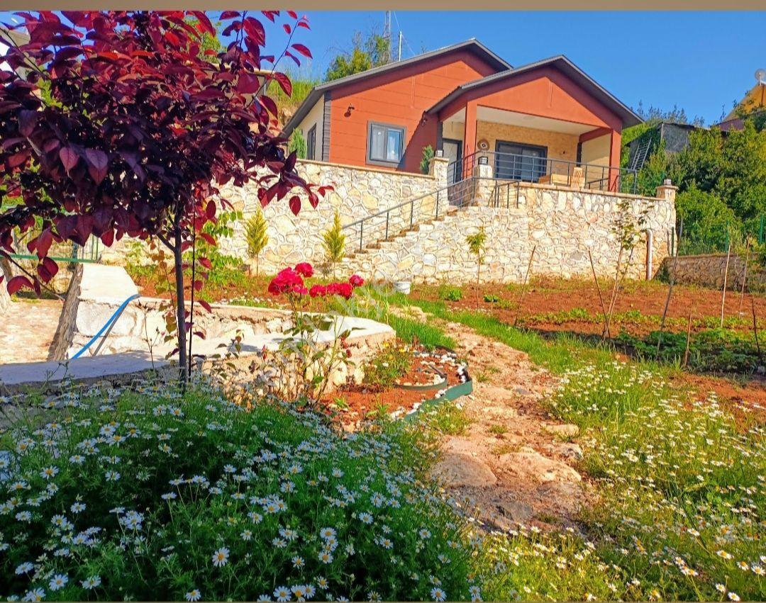 Yayla Zamanı - Görsel 2
