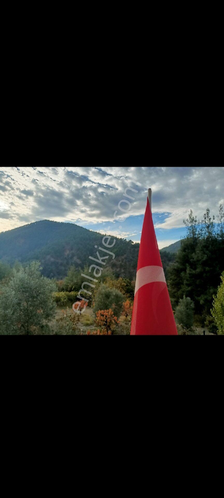 Yayla Zamanı - Görsel 8