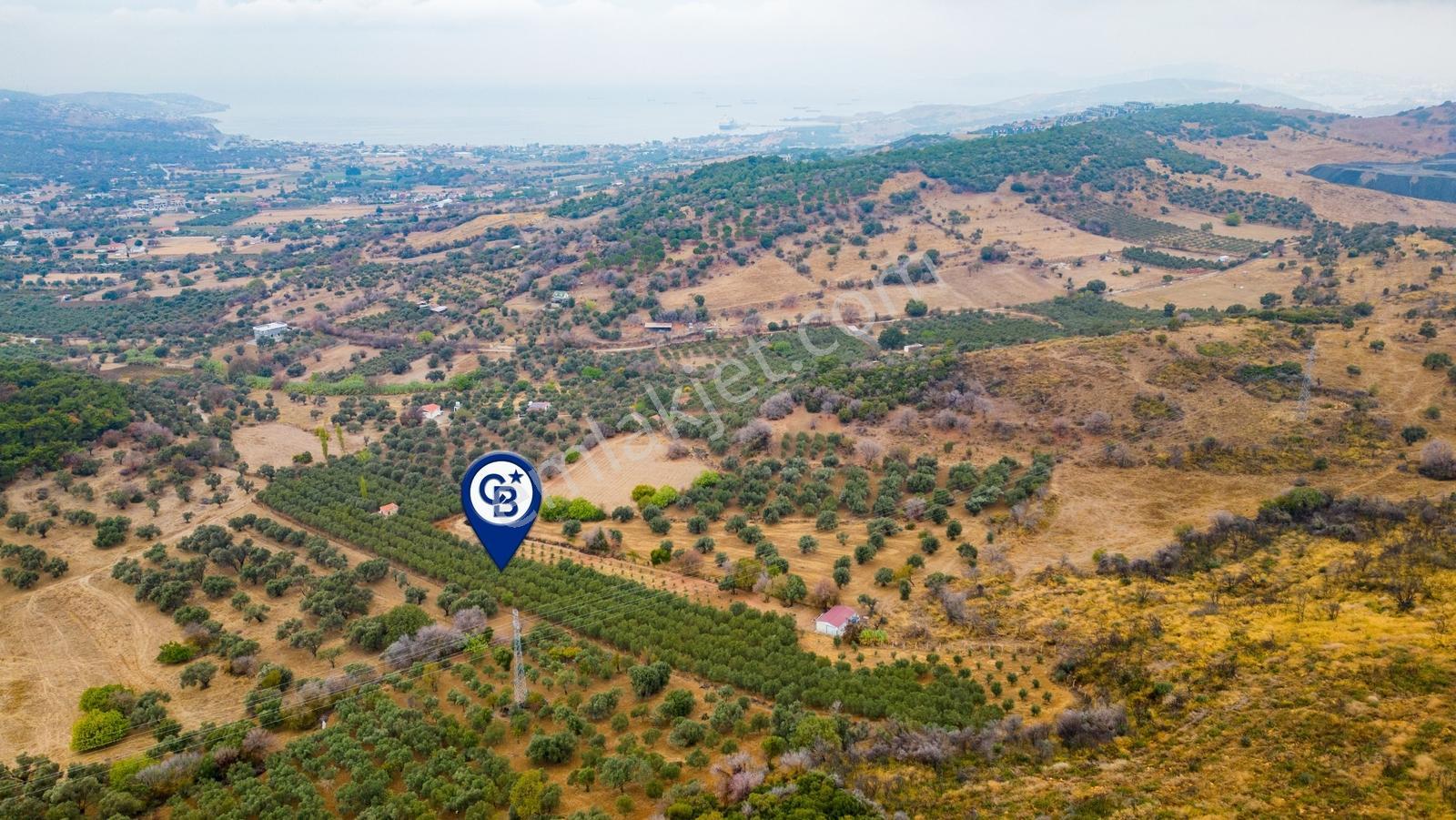 Foça Kozbeyli'de Satılık Tarla - Görsel 24