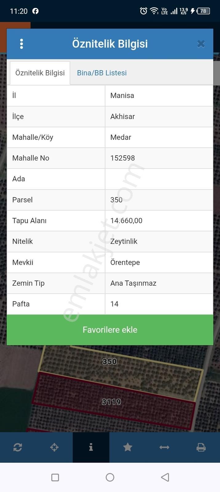 Benim Emlak'tan Medar Mah.40 Dönüm Satılık Zeytinlik - Görsel 2