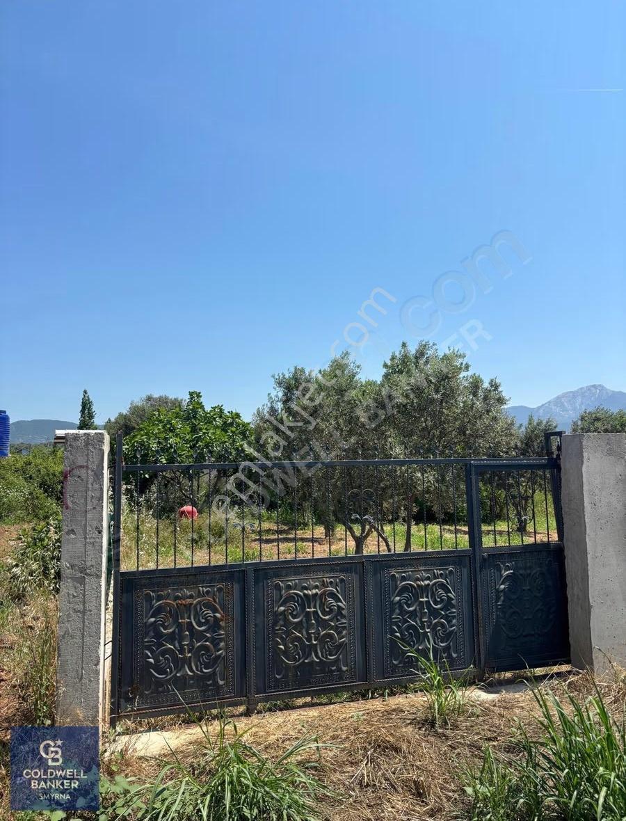 İzmir Torbalı Dağkızılca Karaçam Mevkiinde Satılık Zeytinlik Ve - Görsel 19