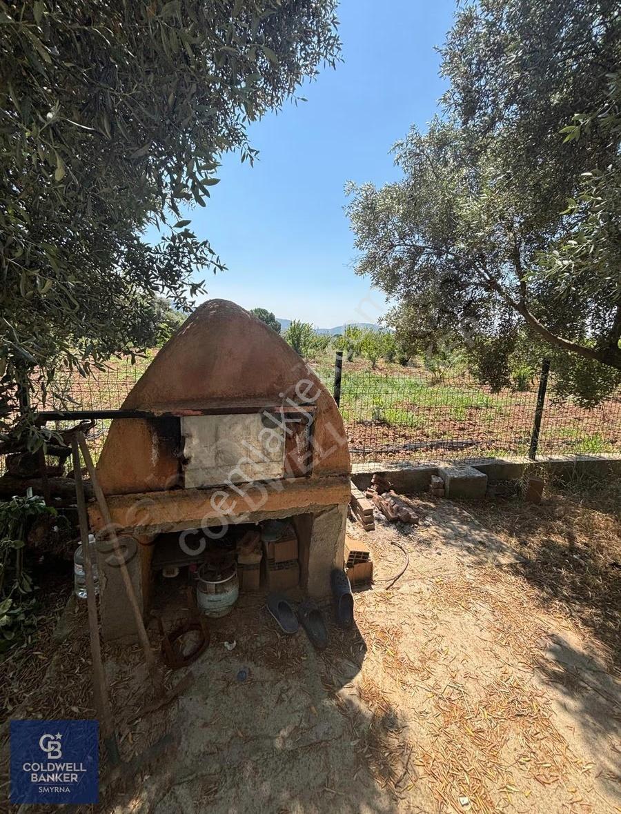 İzmir Torbalı Dağkızılca Karaçam Mevkiinde Satılık Zeytinlik Ve - Görsel 18