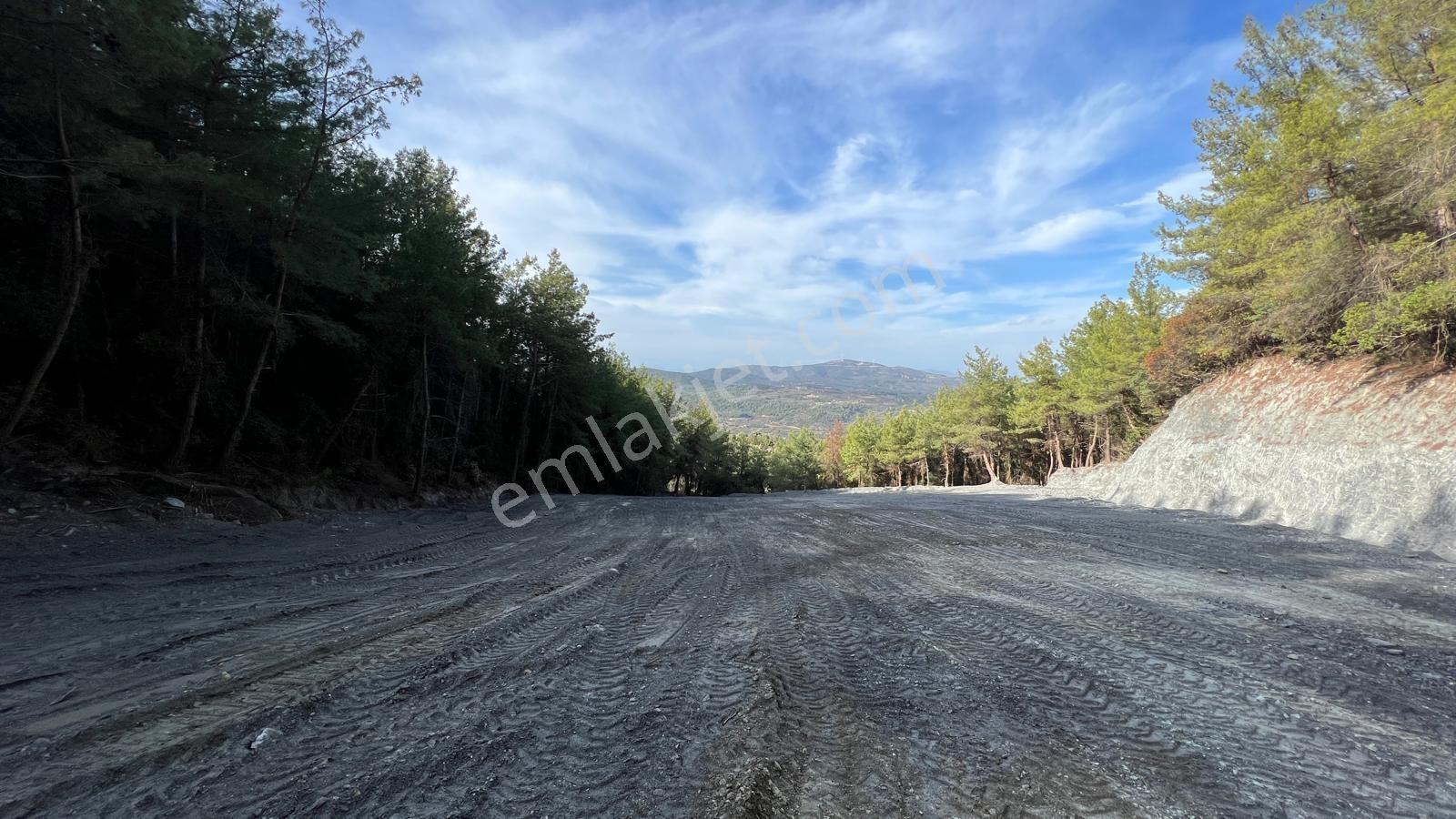 Kuşadası Kirazlı'da 4100 M2 Tek Tapulu Orman İçinde Emsalsiz - Görsel 8