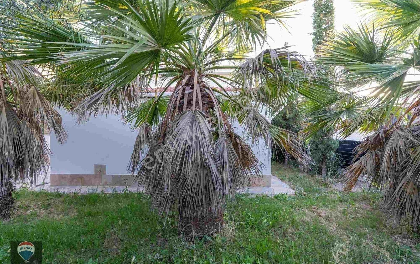 Kuşadası Soğucakta Denizin Ve Yeşilin Birleştiği Eşsiz Manzaralı 5+1 Villa - Görsel 28