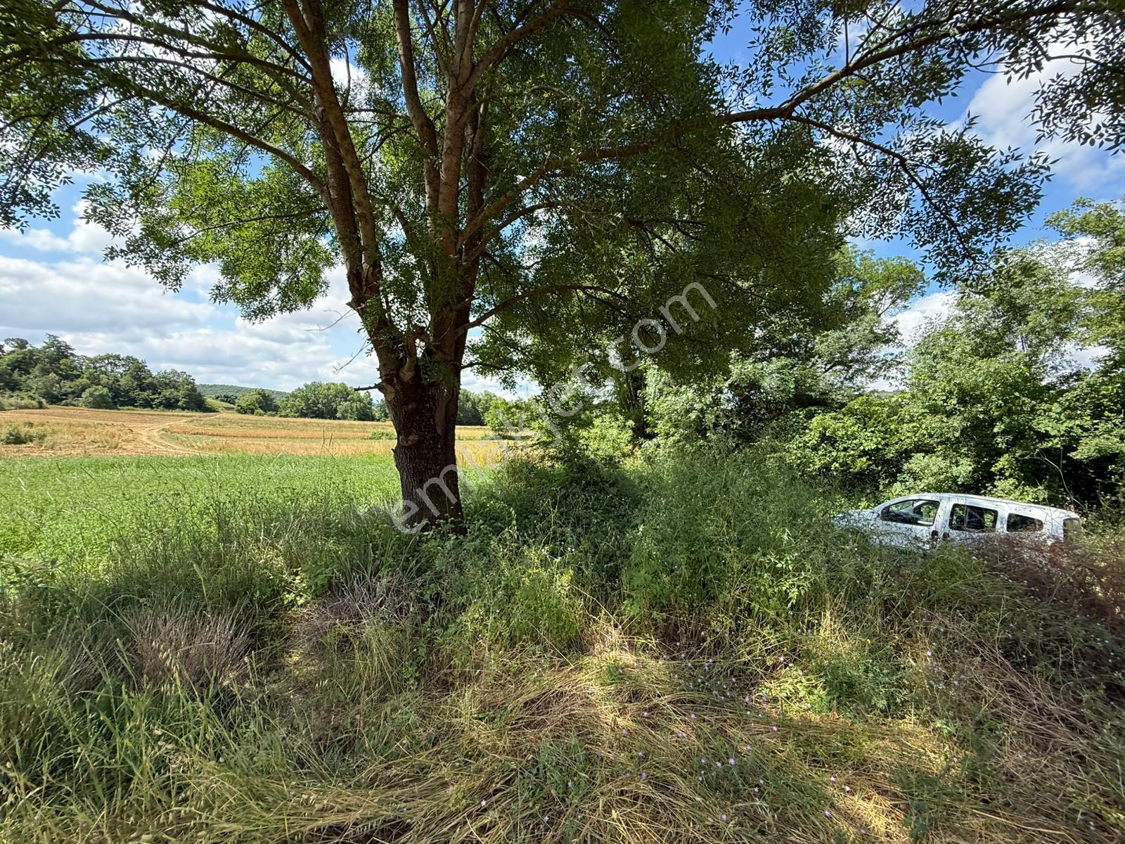 Şeyhtımarında Yol Cepheli , Suyu Hazır Satılık 803 M2 Tarla - Görsel 12