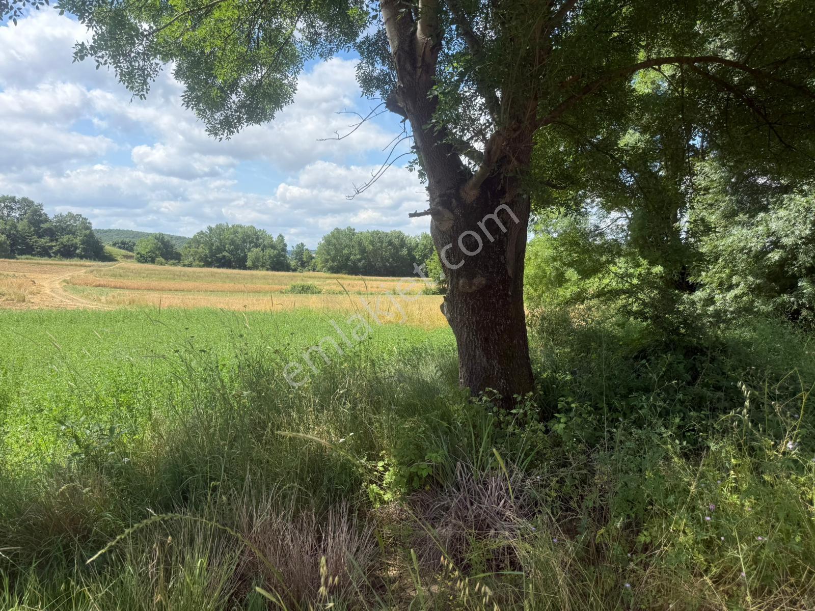 Şeyhtımarında Yol Cepheli , Suyu Hazır Satılık 803 M2 Tarla - Görsel 9