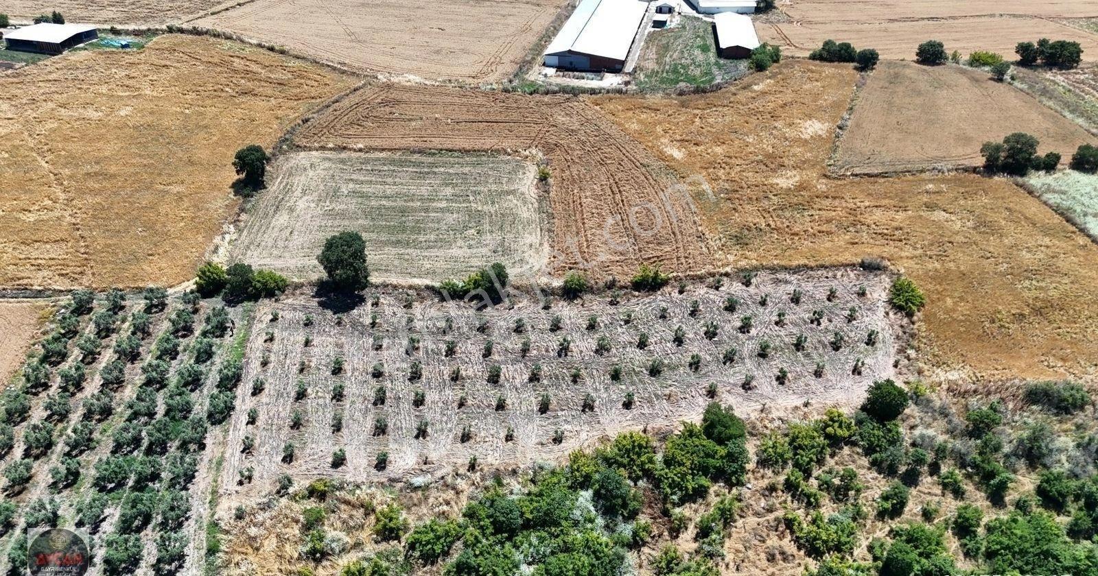 Aycan Gayrimenkulden Gönen Gebeçınar'da Satılık 4384 Mt Tarla - Görsel 2