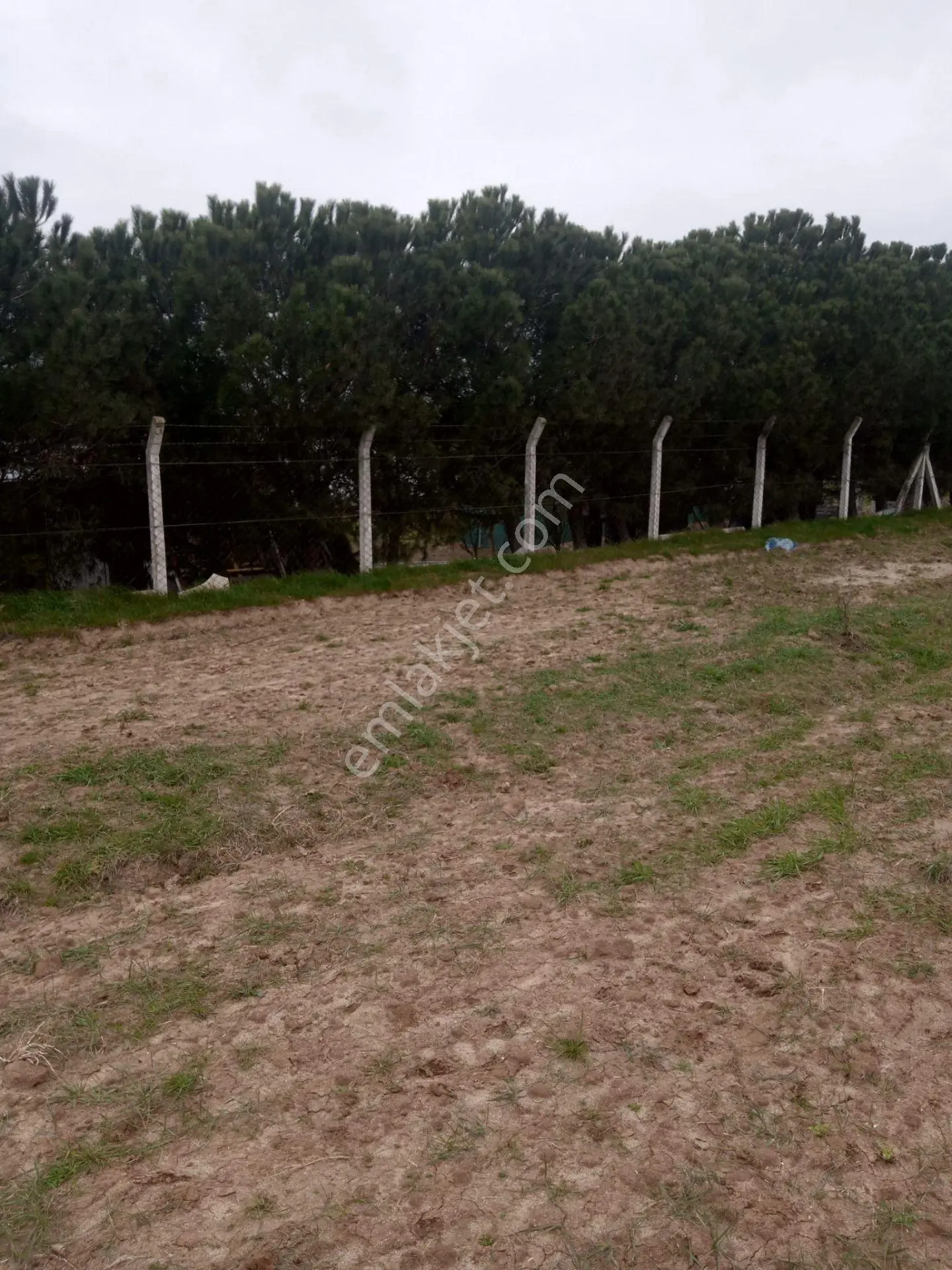 Saray Kurtdere'de 1960 M² Satılık Tarla: Konteyner İçinde - Görsel 5