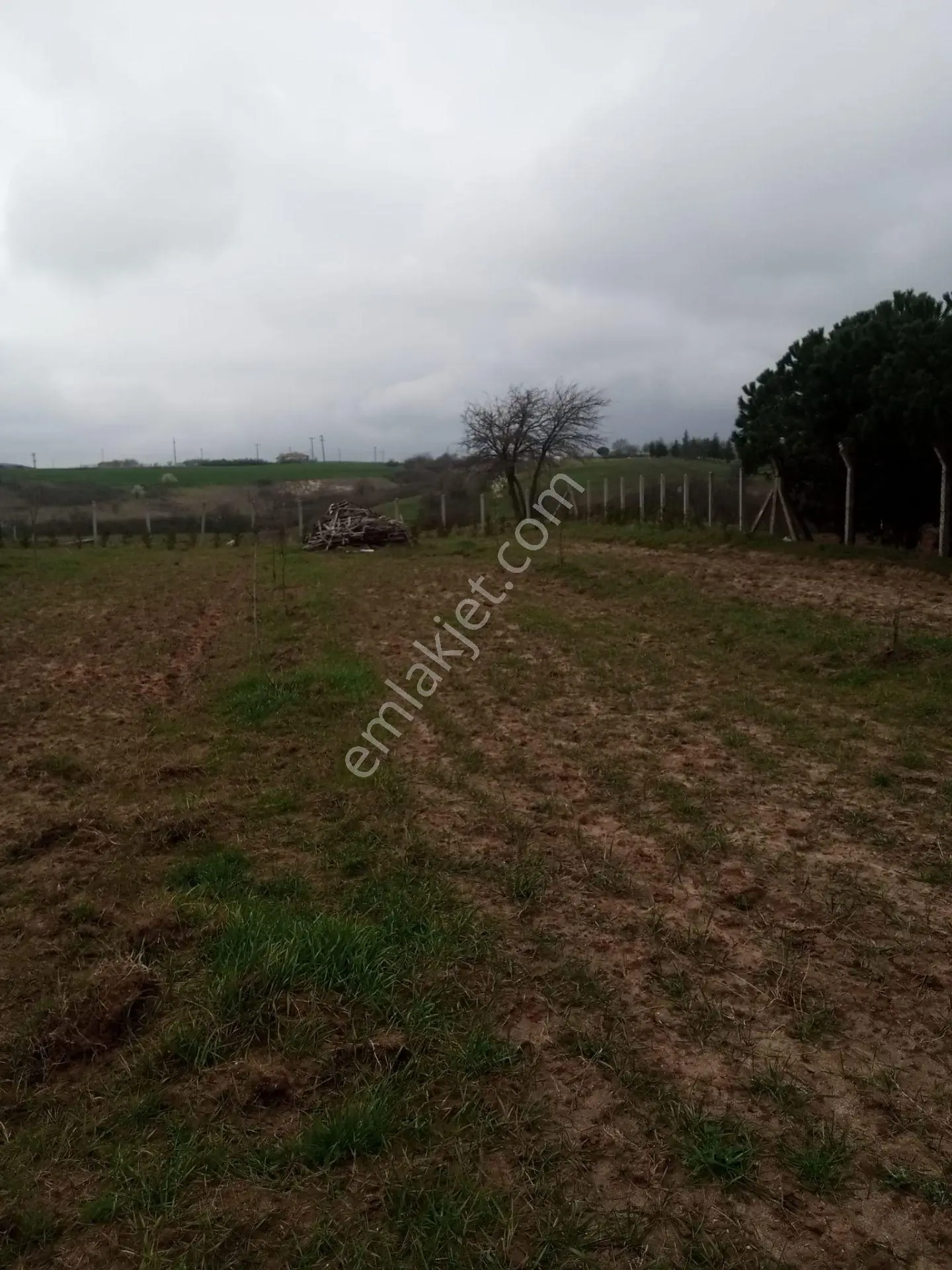 Saray Kurtdere'de 1960 M² Satılık Tarla: Konteyner İçinde
