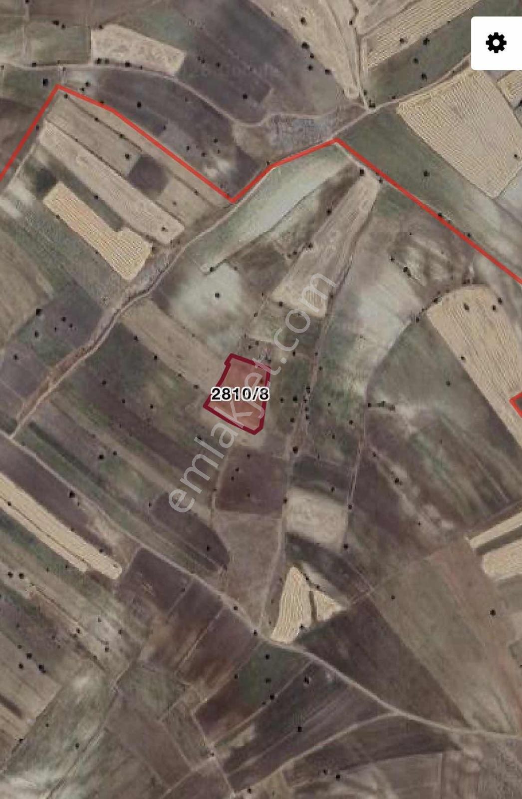 Talas Süleymanlı Mah. Satılık 6.000 M2 Tarla - Görsel 2