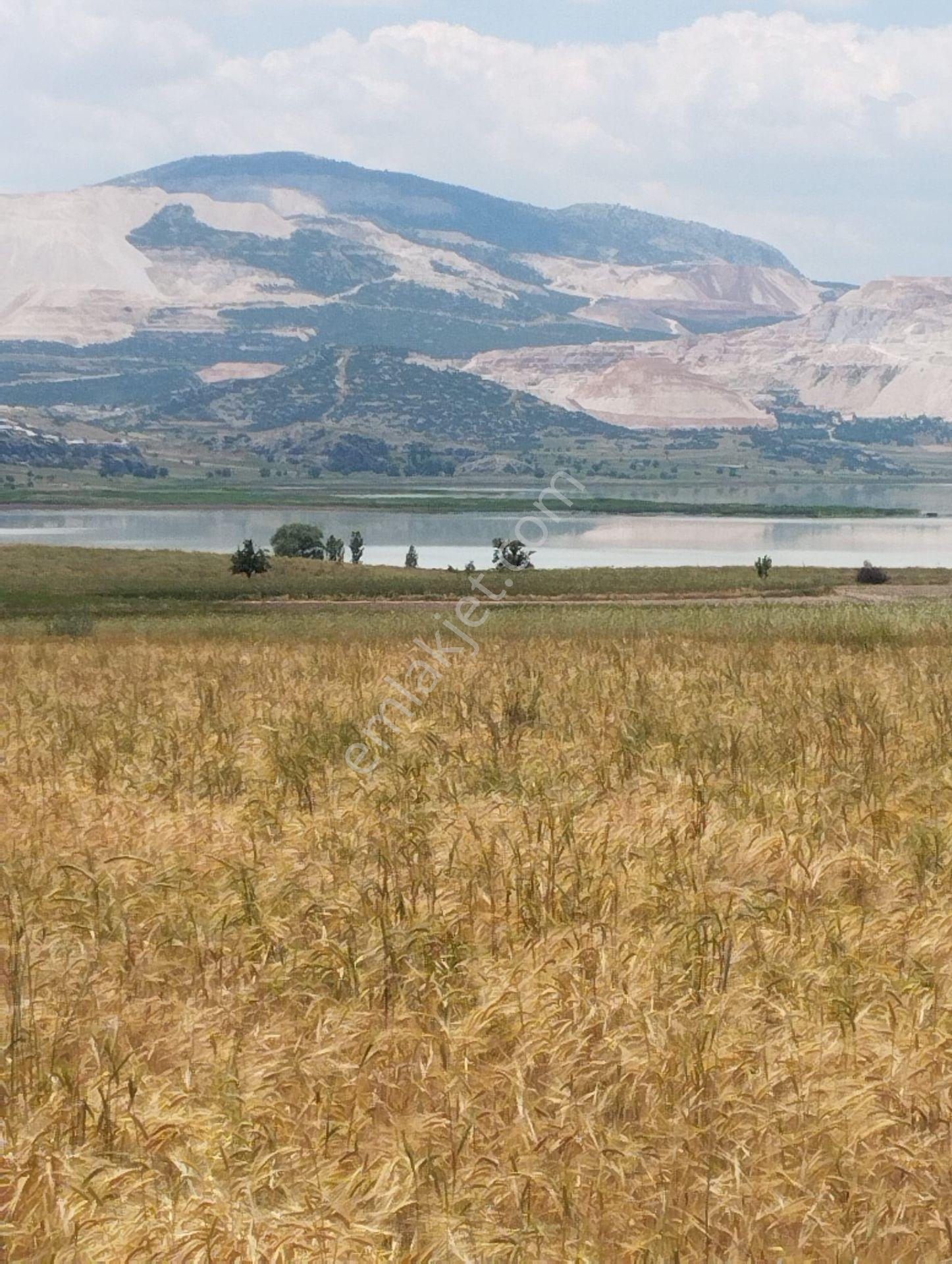Burdur Merkez Düğer Köyü 18.500m2 Satılık Tarla - Görsel 5