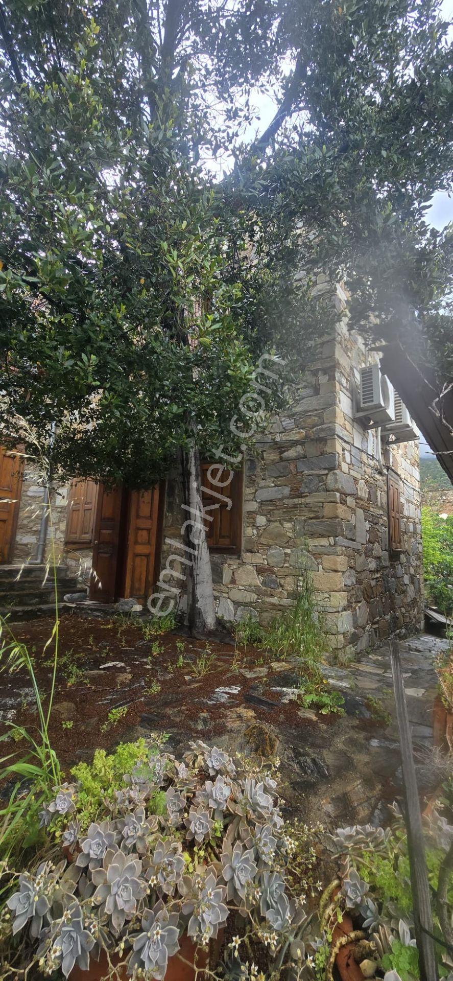 Söke Doğanbeyde Eşsiz Konumda Satılık Taş Evi - Görsel 30