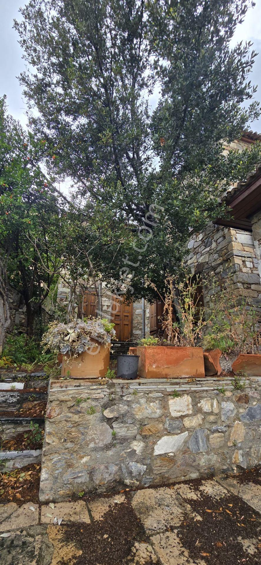 Söke Doğanbeyde Eşsiz Konumda Satılık Taş Evi - Görsel 27