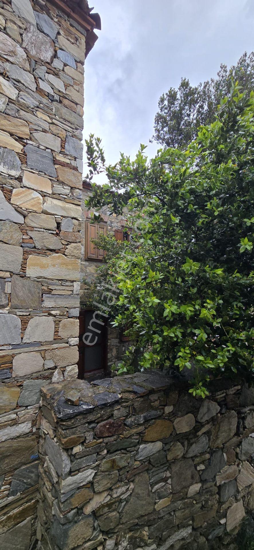 Söke Doğanbeyde Eşsiz Konumda Satılık Taş Evi - Görsel 23