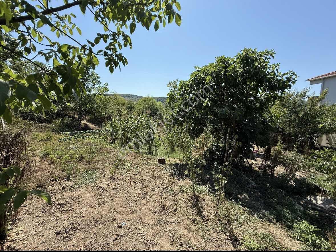 Şile Geredelide 345 M2 Muhteşem Konumda Villa İmarlı Arsa - Görsel 4