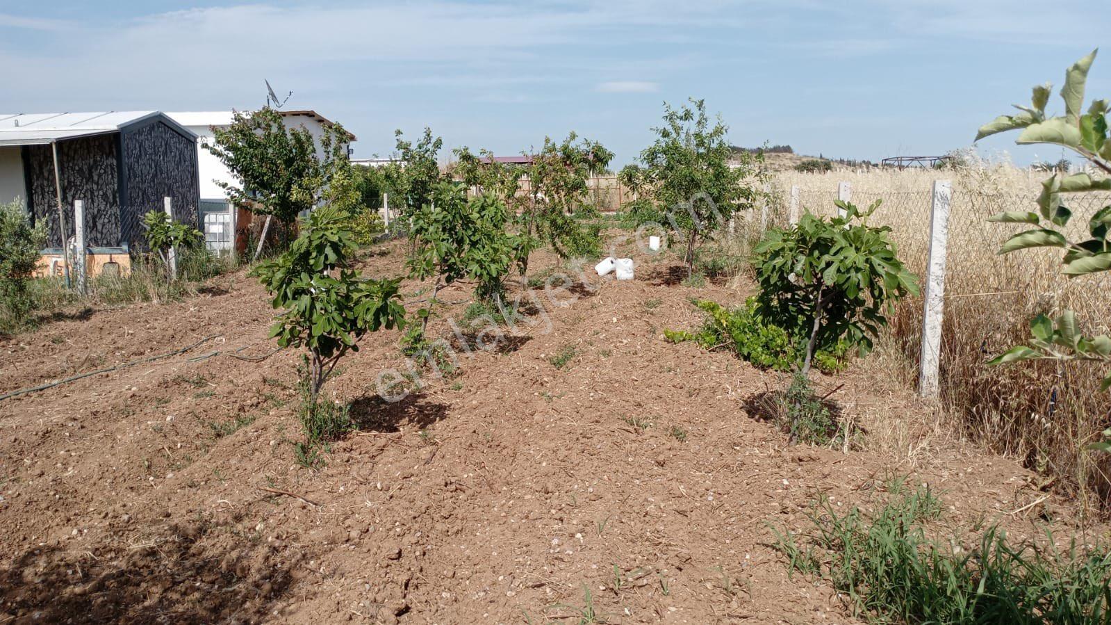 Satılık 300m2 Parseller - Görsel 9