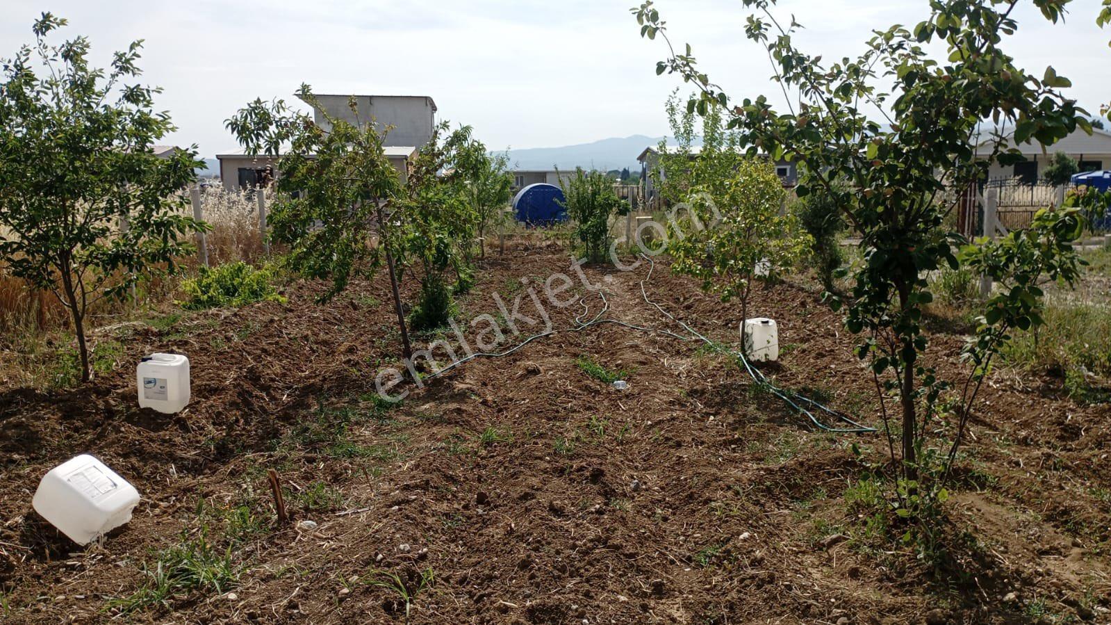 Satılık 300m2 Parseller - Görsel 6