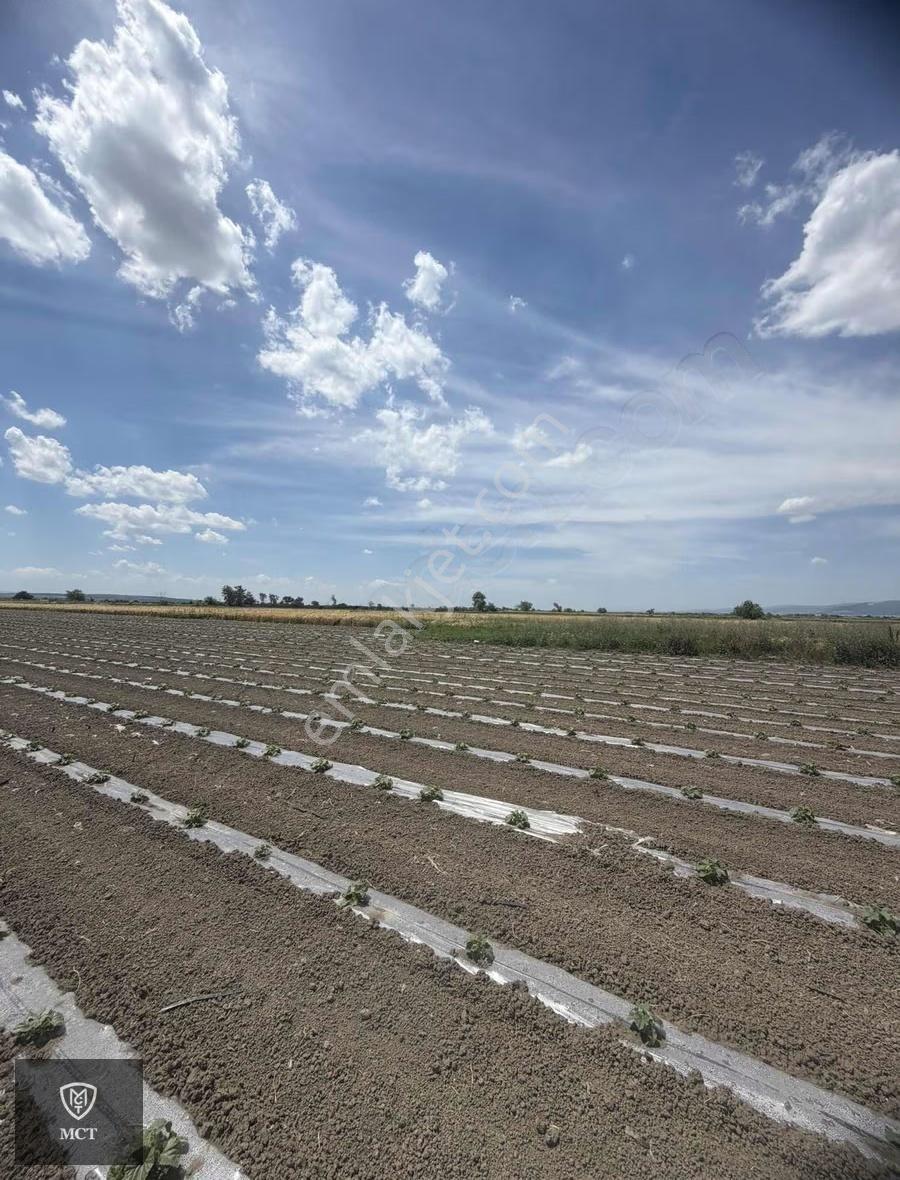 Mustafakemalpaşa Yeşilova'da 1200m2 Tek Tapu Tarla - Görsel 14