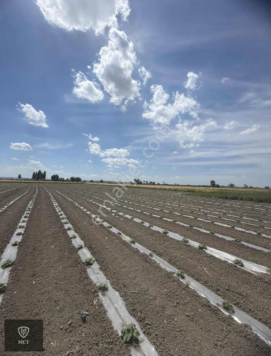 Mustafakemalpaşa Yeşilova'da 1200m2 Tek Tapu Tarla