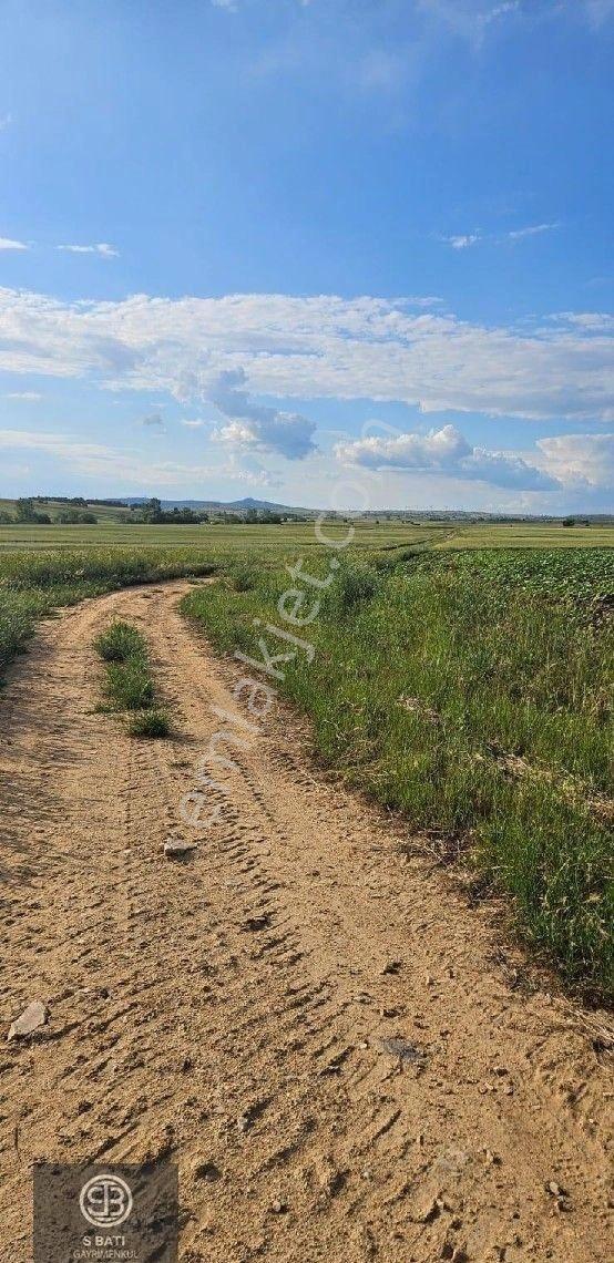 🚧 Yol + Osb + İl Yolu Projesine Yakın. 👉 Asfalt Cepheli 2.953 M² Süper Konum - Görsel 6