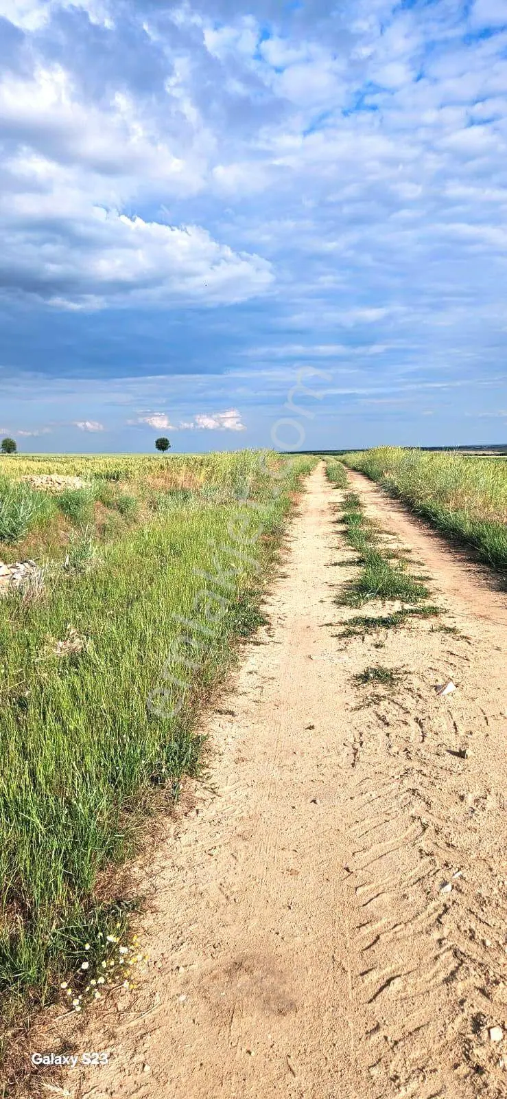 Edirne Süloğlu. 🚧 Yol + Osb + İl Yolu Projesine Yakın. 👉 Asfalt Cepheli 2.953 M² Süper Konum - Görsel 30