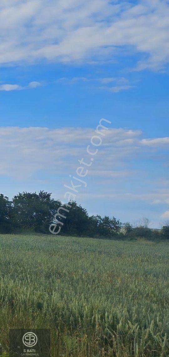 🚧 Yol + Osb + İl Yolu Projesine Yakın. 👉 Asfalt Cepheli 2.953 M² Süper Konum - Görsel 2