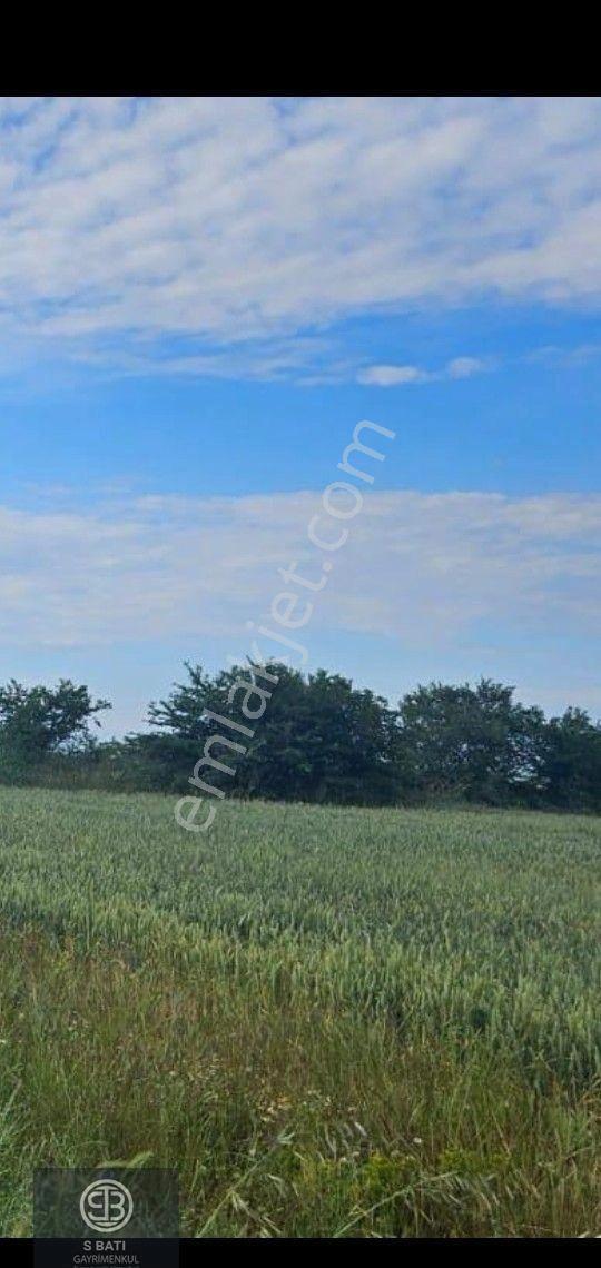 🚧 Yol + Osb + İl Yolu Projesine Yakın. 👉 Asfalt Cepheli 2.953 M² Süper Konum - Görsel 3