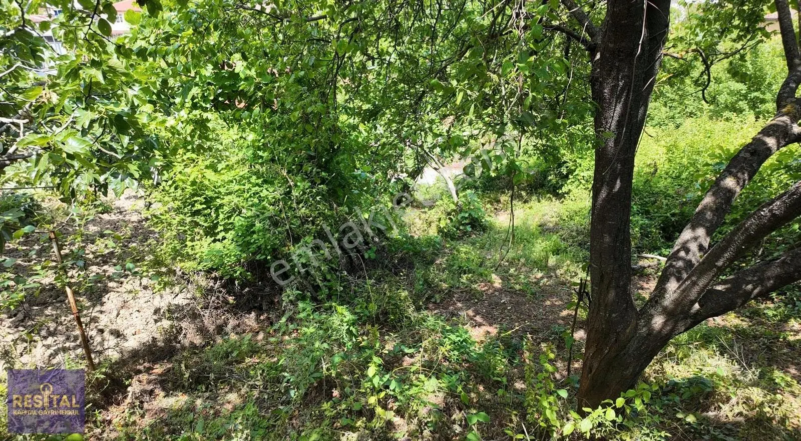 Osmangazi Seçköy'de Köy İçi Konumda 502 M² Satılık Bahçe - Görsel 3