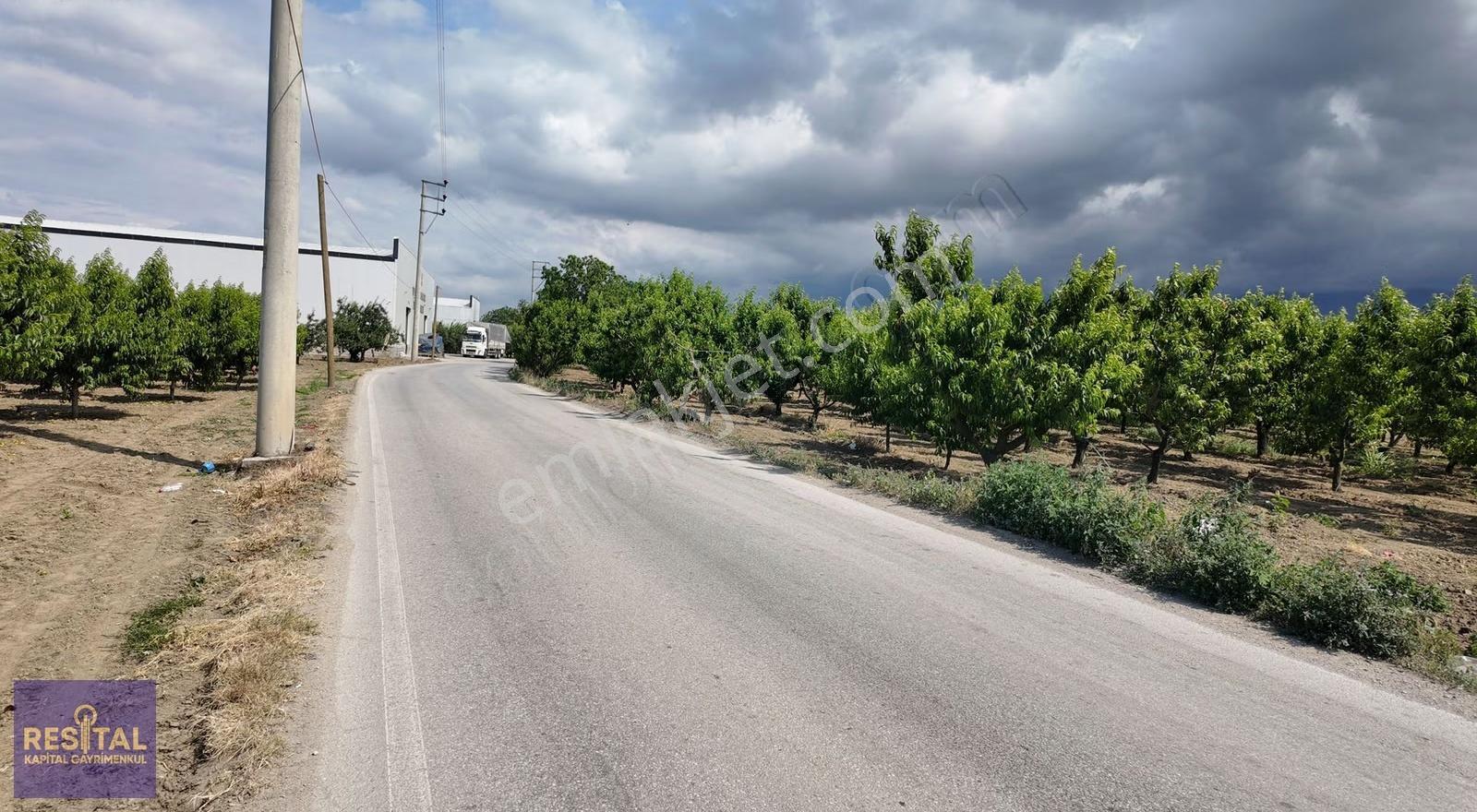 Bursa Samanlı'da Yatırıma Uygun 4.400 M² Satılık Tarla