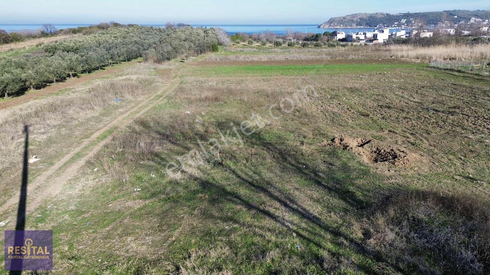 Mudanya Esence 900 M Deniz Manzaralı Yola Cephe Satılık Tarla - Görsel 2