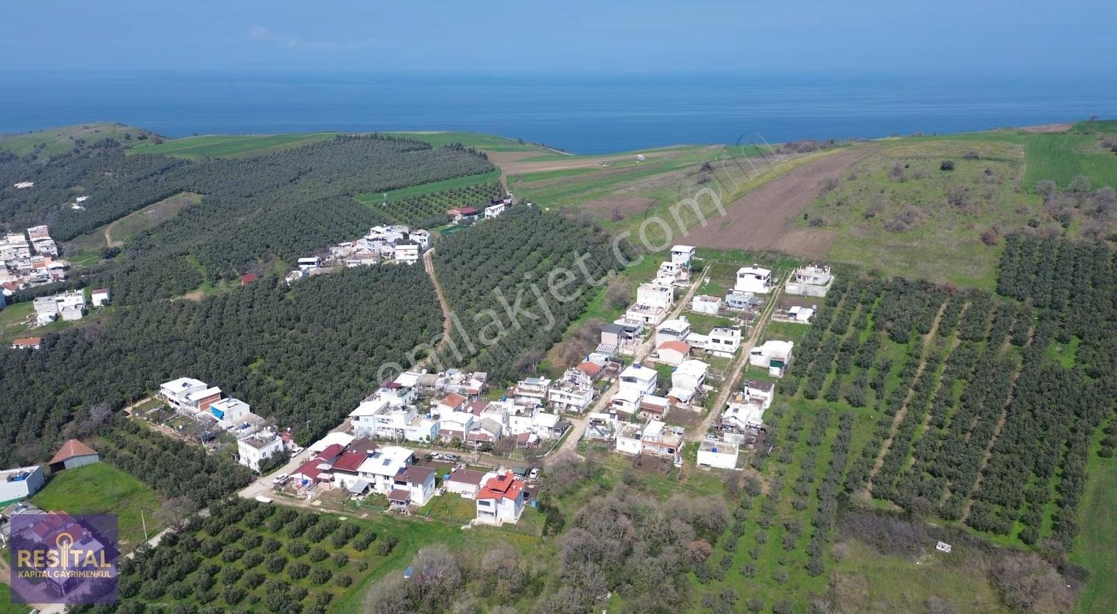 Mudanya Esence De Yatırımlık Satılık Parseller - Görsel 6