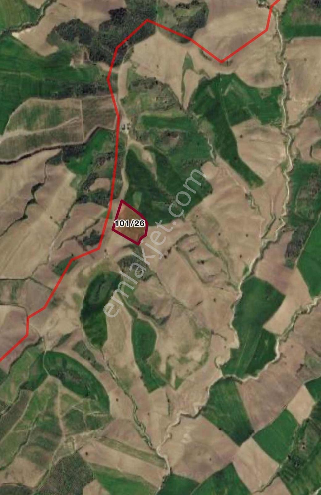 Karaisalı Kuzgunda Hertürlü Takasa Açık 2.800 M Satılık Arazi