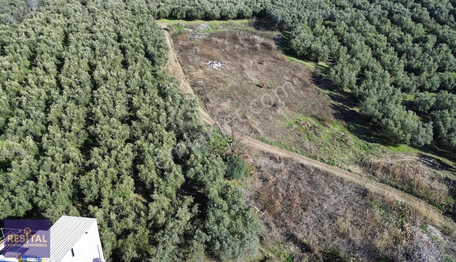 Mudanya Esence Satılık Deniz Manzaralı Yola Cephe Satılık Tarla - Görsel 18