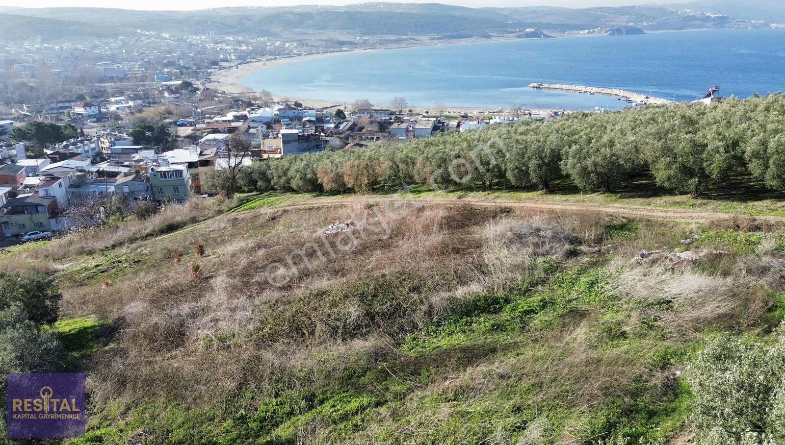 Mudanya Esence Satılık Deniz Manzaralı Yola Cephe Satılık Tarla - Görsel 25