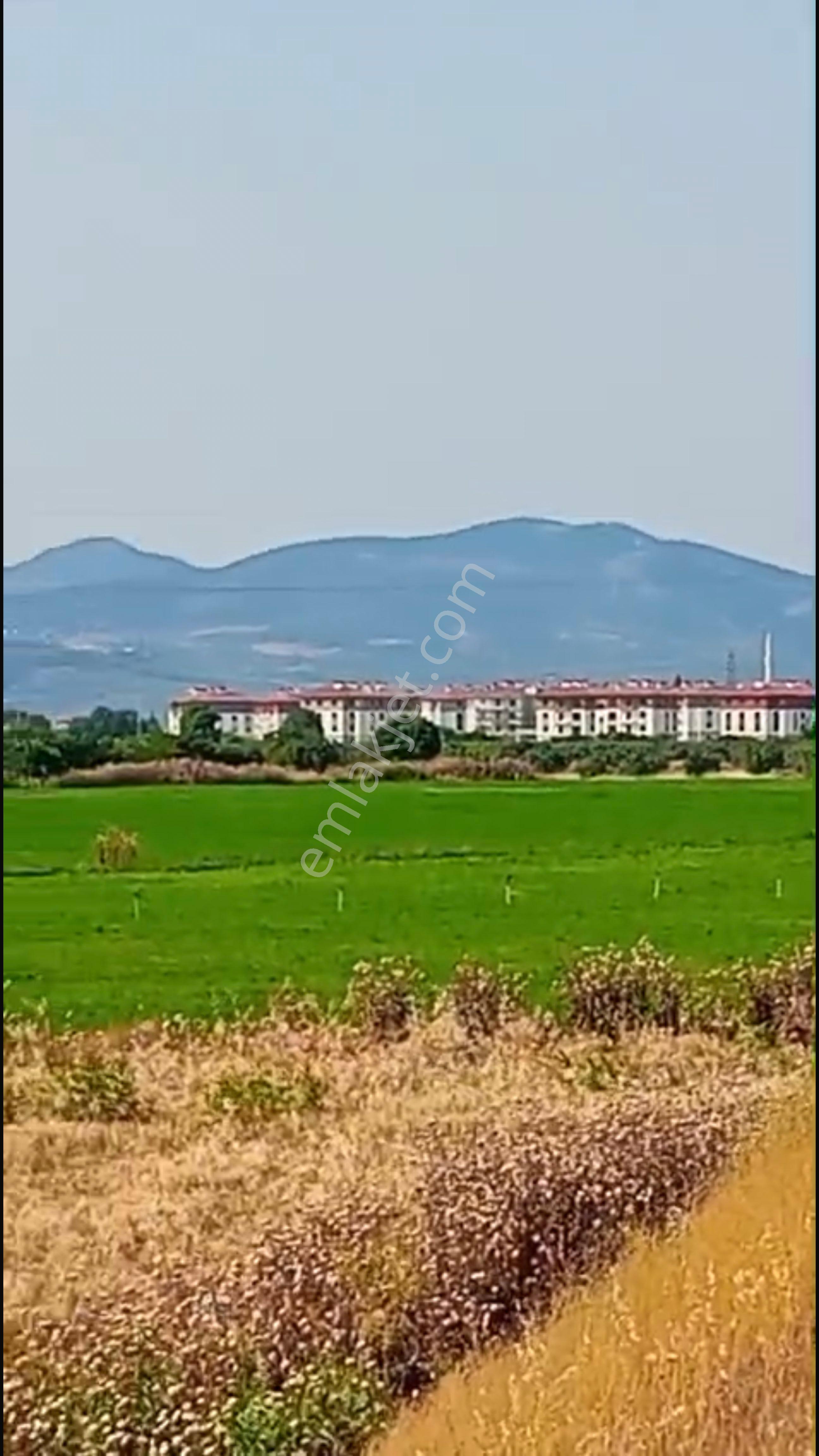 Manisa Akhisarda Yola Sıfır Tarla Hedef Gayrimenkul