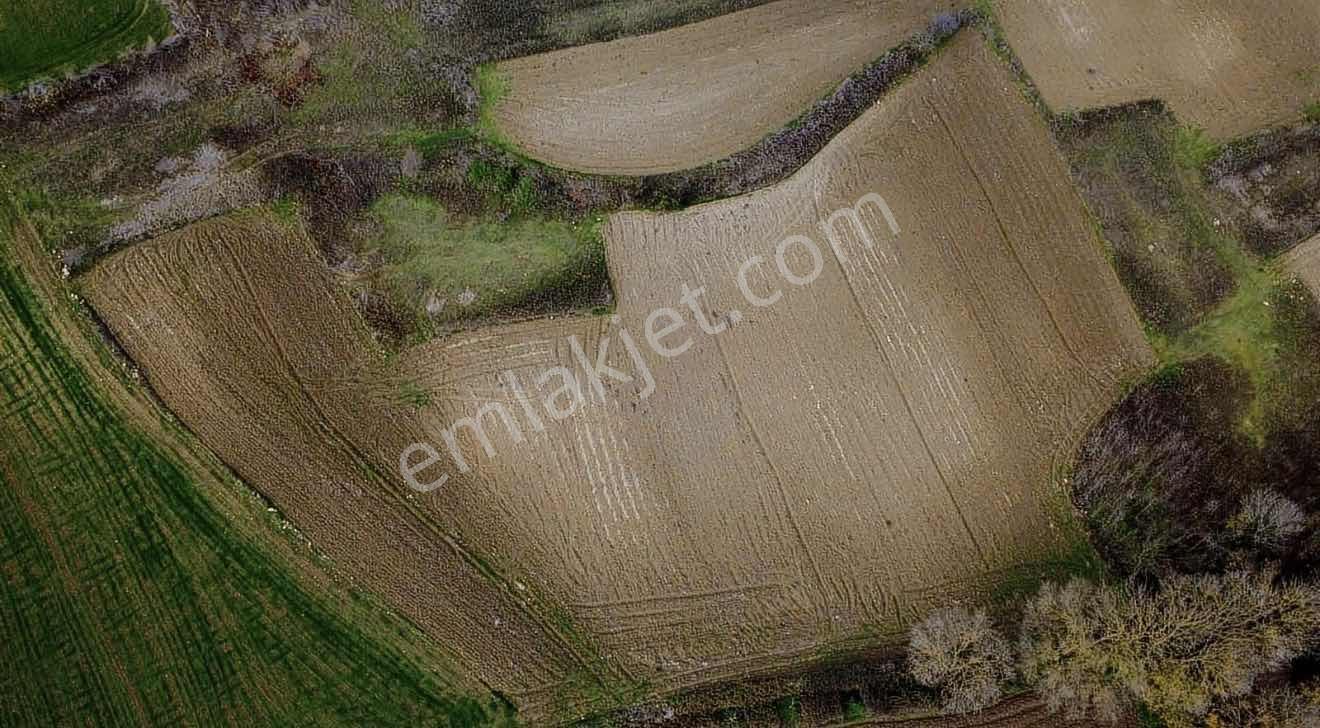 Yoldaş Emlaktan Sakarya Kertil Köyünden 5.740 M2 Tarla - Görsel 9