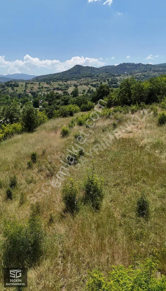 Dursunbey Aşağıyağcılar Mahallesi'nde 6 Dönüm Yatırımlık Arazi