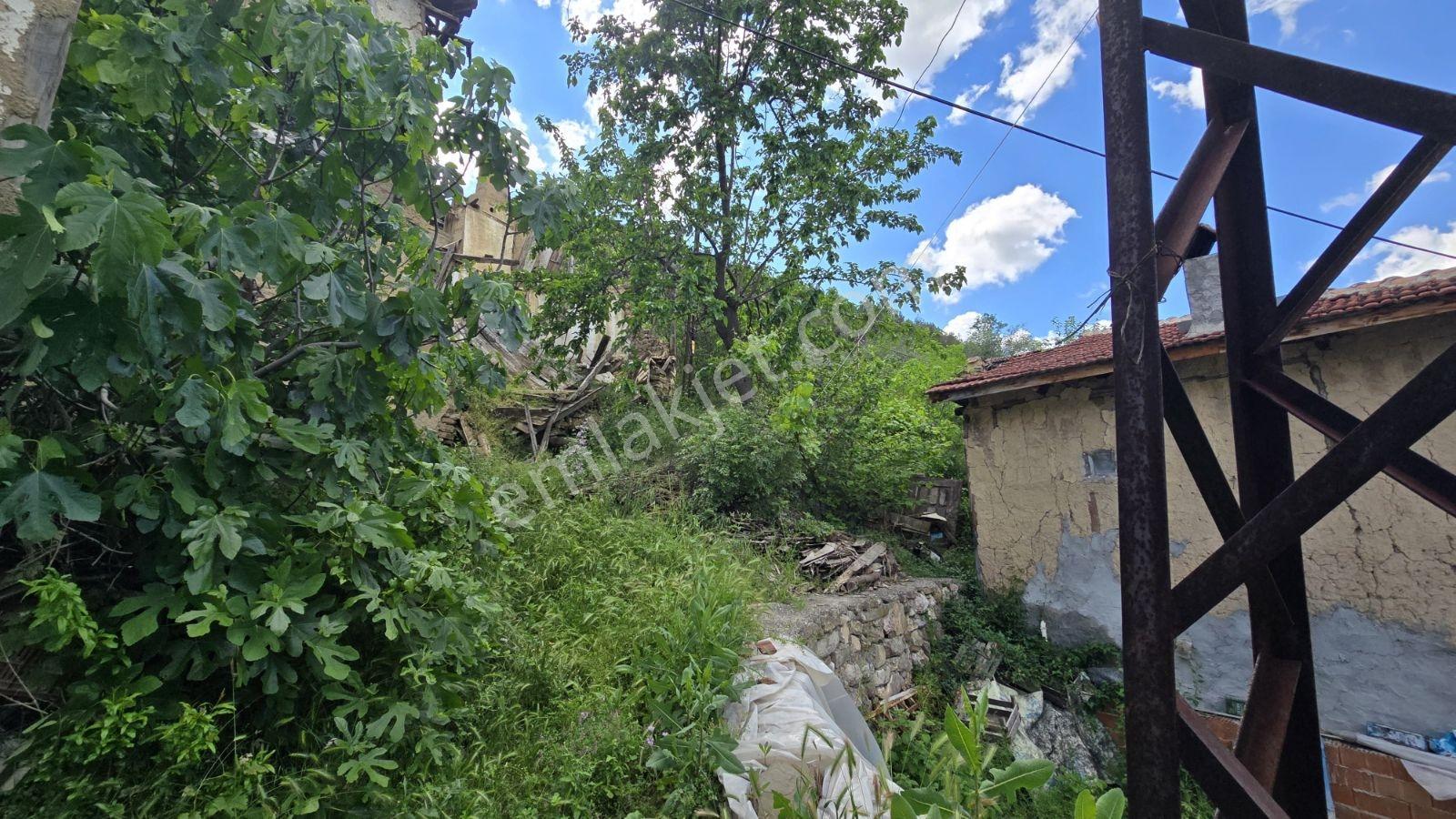 Doğayla İç İçe İmarlı Arsa - Görsel 3