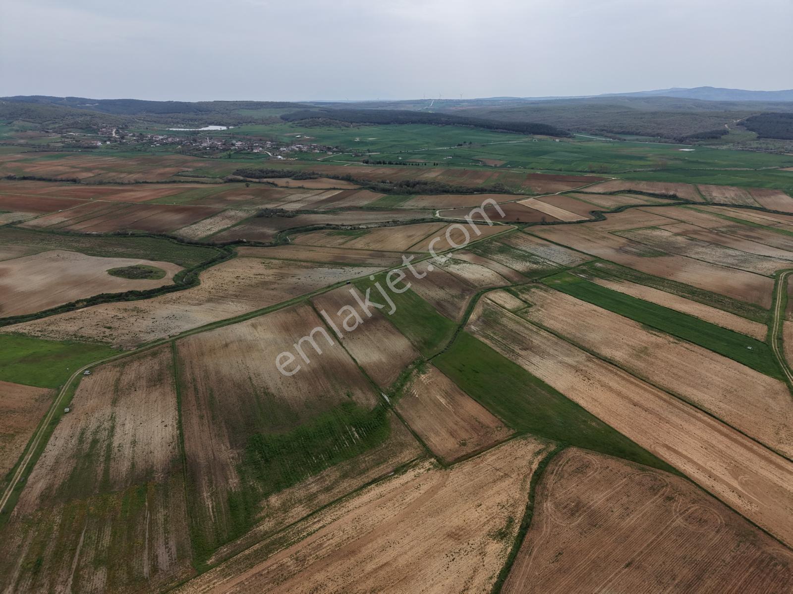 Ege Emlak'tan Şabanmera Köyünde Yatırımlık Fırsat Arazi - Görsel 2